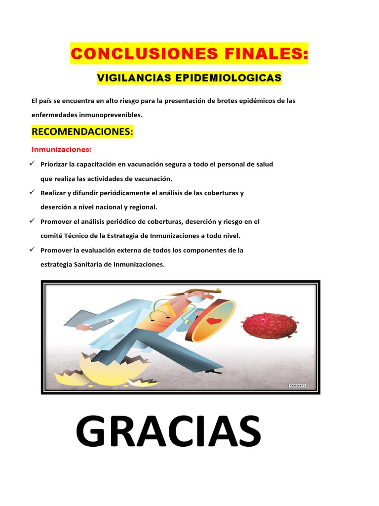 <strong>Conclusiones finales