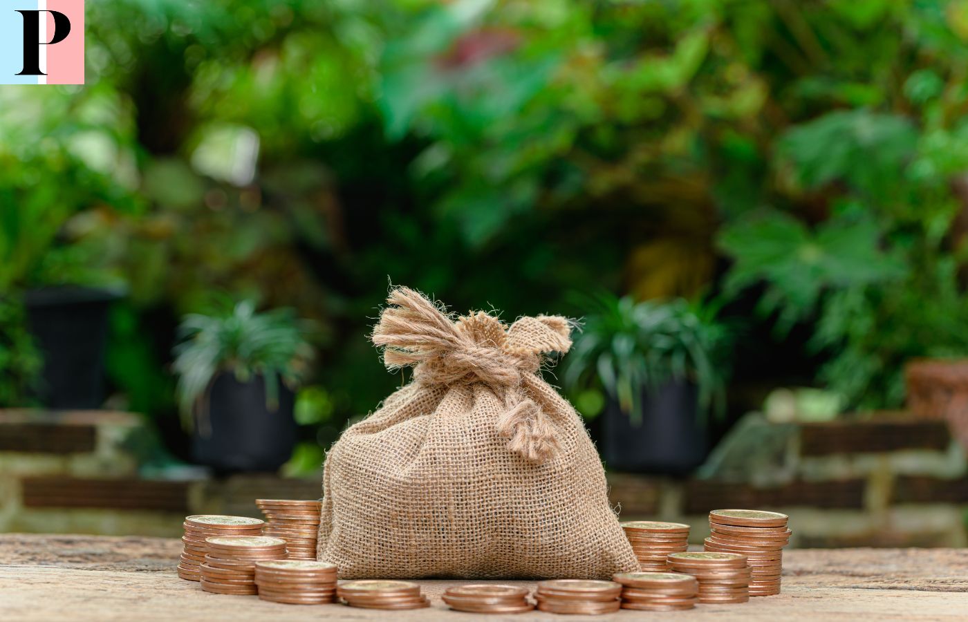 <strong>¿Qué Es un Plan de Ahorro y Cómo Funciona?