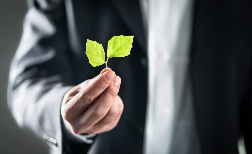 Optimizando tus Finanzas: Un Pilar Fundamental