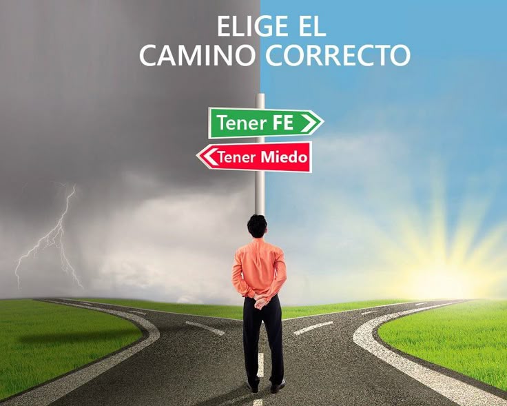 Revisión y Ajuste: Manteniéndote en el Camino Correcto