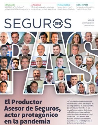 Buscando Asesoramiento Profesional