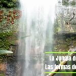 Métodos de inversión seguros para generar ingresos estables cada mes